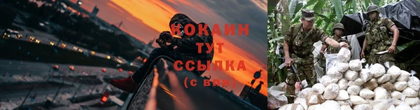 прущая мука Армянск