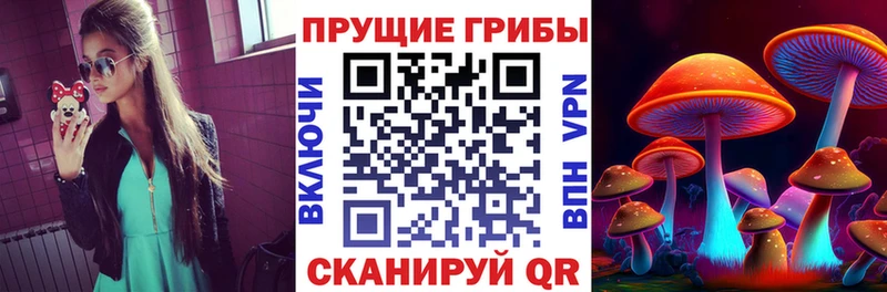 Псилоцибиновые грибы прущие грибы mega зеркало Дмитриев купить цена