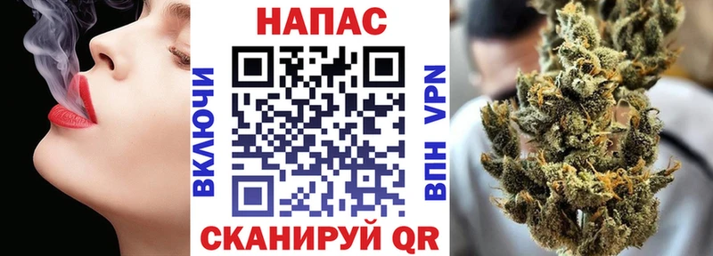 Шишки марихуана марихуана Дмитриев
